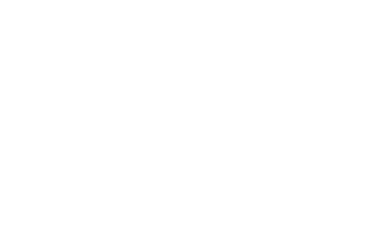 The Santa Fe Film Institute